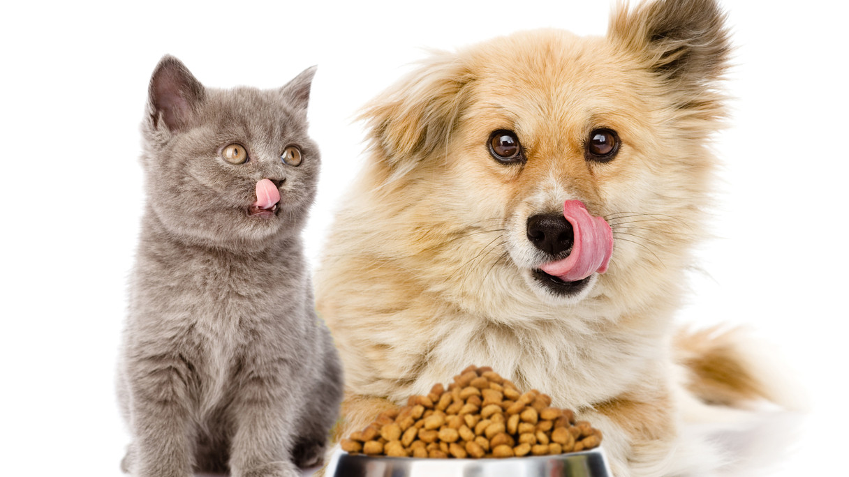 Pet Foods